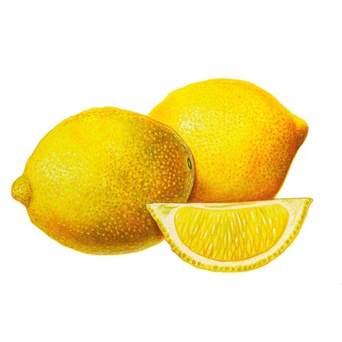 Citrus limonum