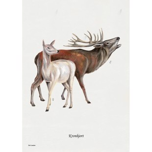 Red deer lithograph