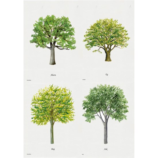 Tree Lithographs