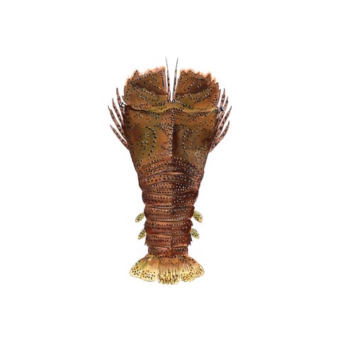 Thenus orientalis
